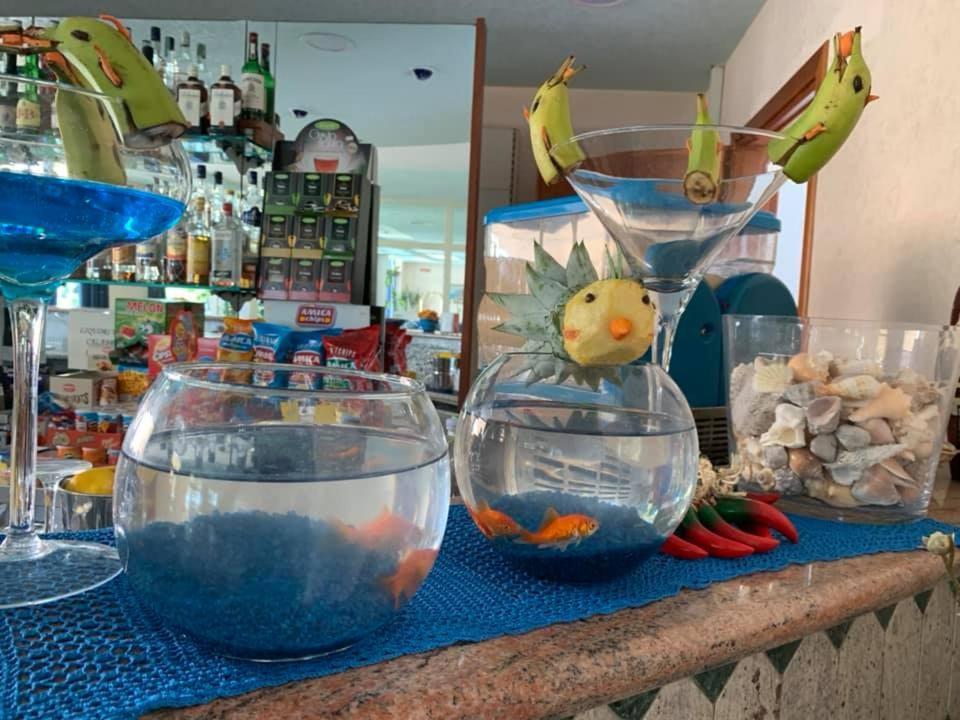 Hotel San Gaetano Grisolia Dış mekan fotoğraf