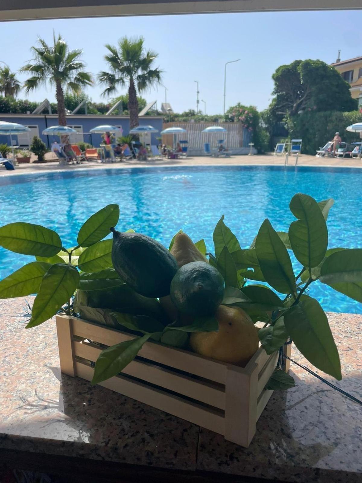 Hotel San Gaetano Grisolia Dış mekan fotoğraf